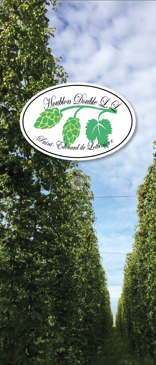 Houblon Double L.L | 1353 Rang St Charles, Saint-Édouard-de-Lotbinière, QC G0S 1Y0, Canada | Phone: (581) 581-2380