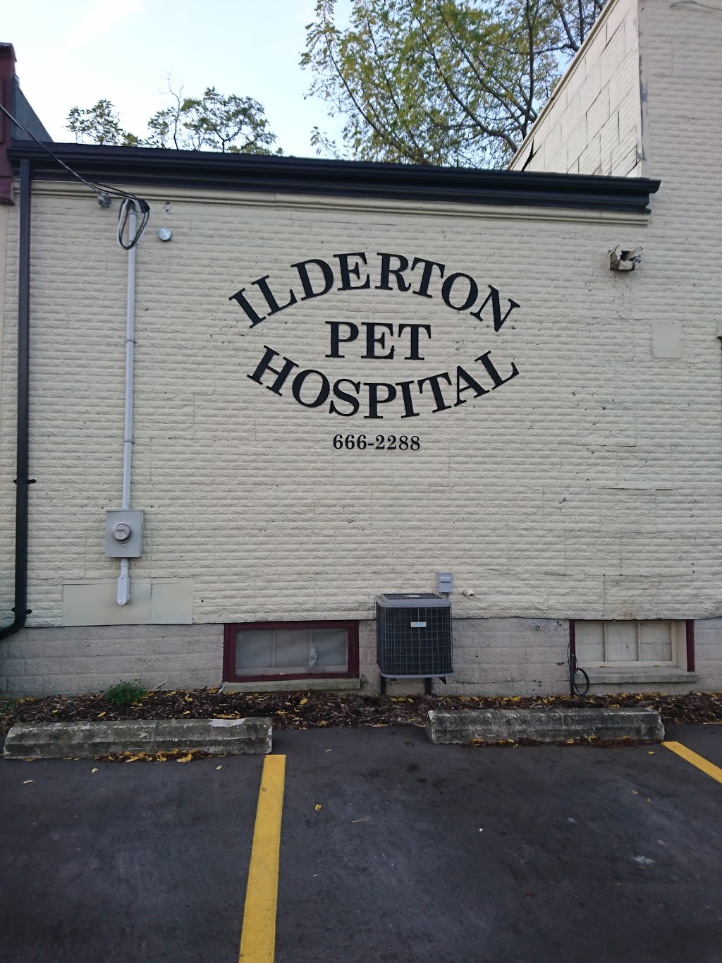 Ilderton Pet Hospital | 125 King St, Ilderton, ON N0M 2A0, Canada | Phone: (519) 666-2288