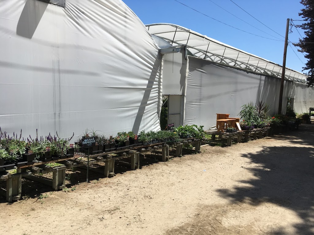 Summerland Greenhouses Ltd | 6711 Canyon View Rd, Summerland, BC V0H 1Z7, Canada | Phone: (250) 494-9441