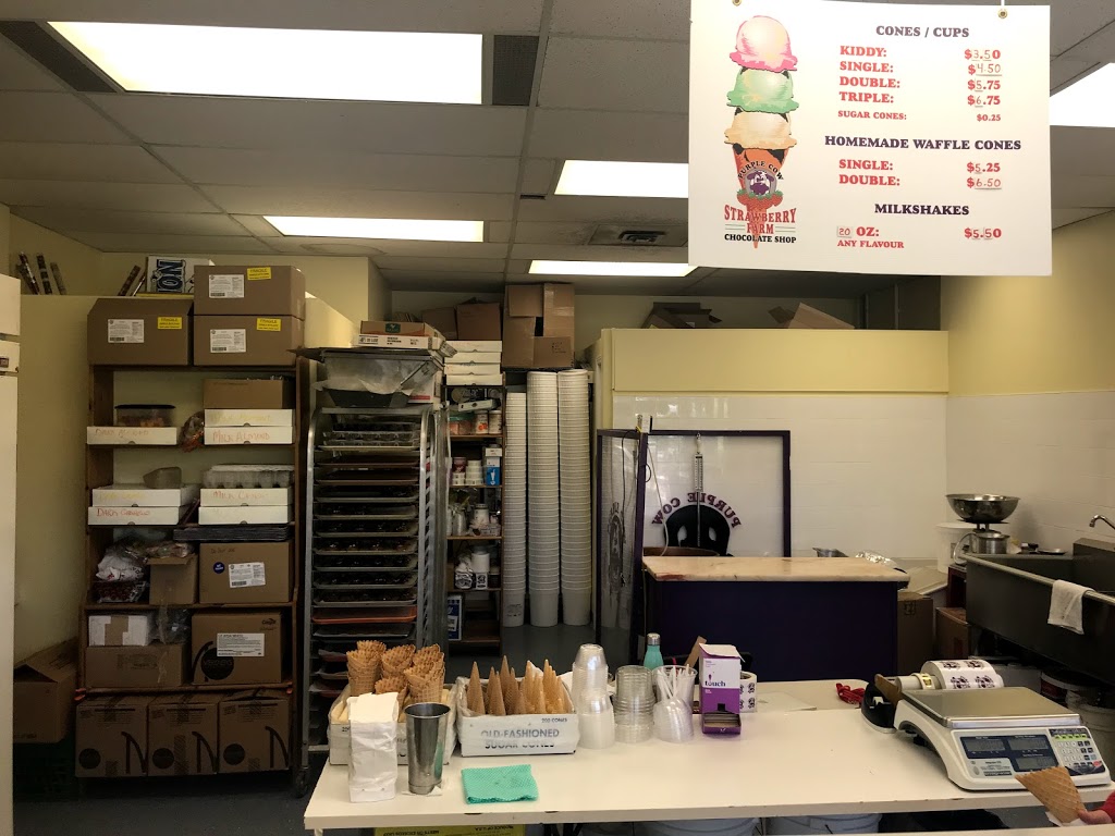 Purple Cow Chocolate And Ice Cream | 111 Colonnade Rd, Nepean, ON K2E 7M3, Canada | Phone: (613) 226-4646