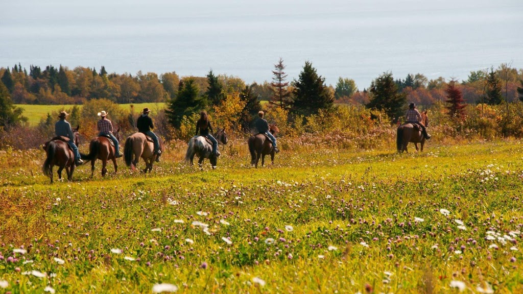 Les Écuries Entre Monts Et Marées | 645 Rang Saint Antoine, Saint-Irénée, QC G0T 1V0, Canada | Phone: (418) 452-3261