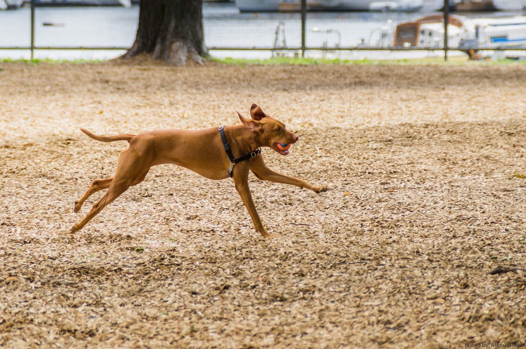 Coronation Park Offleash Dog Park | Niagara, Toronto, ON M5V 1A7, Canada | Phone: (416) 338-4386