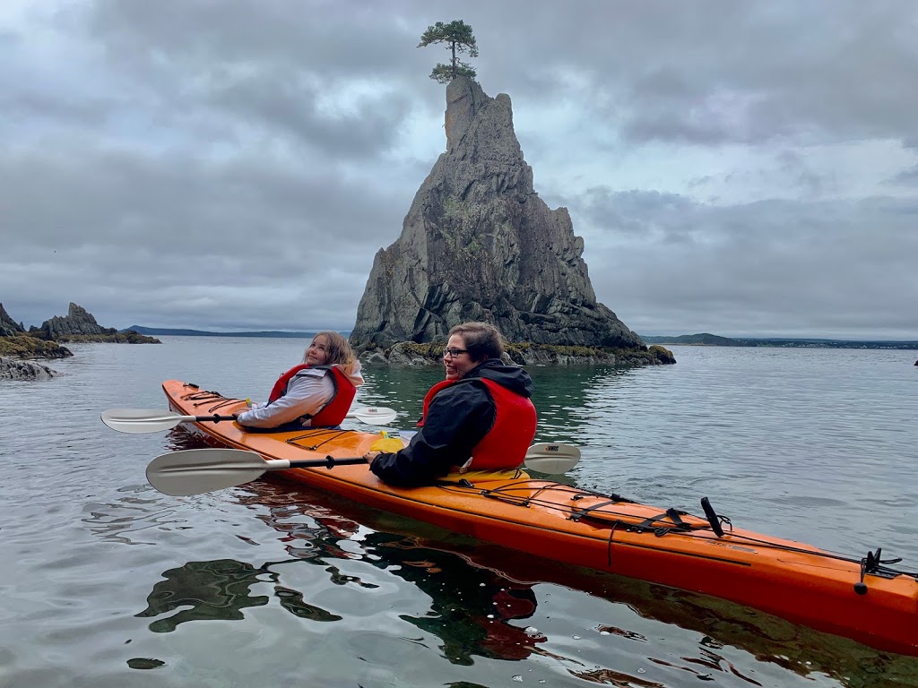 Wind at your Back Guided Adventures | Hearts Delight, 354 Main Rd, Normans Cove, NL A0B 2A0, Canada | Phone: (709) 589-4170