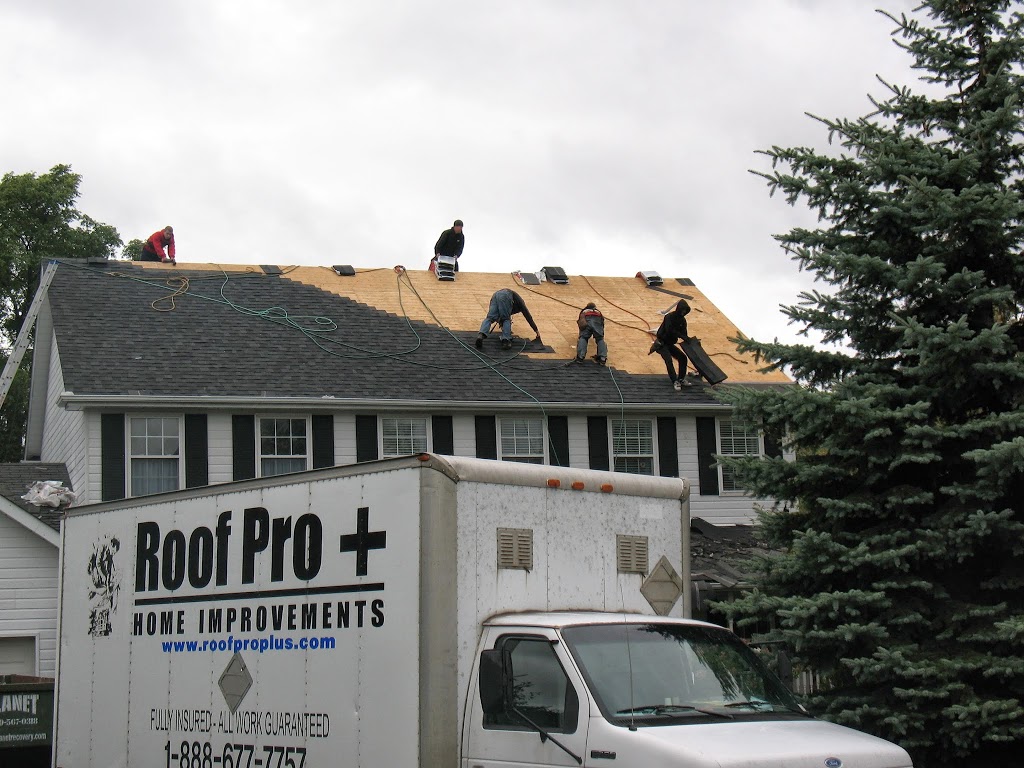 Roof Pro Plus | 580 Steven Ct #6, Newmarket, ON L3Y 6Z2, Canada | Phone: (905) 898-4800