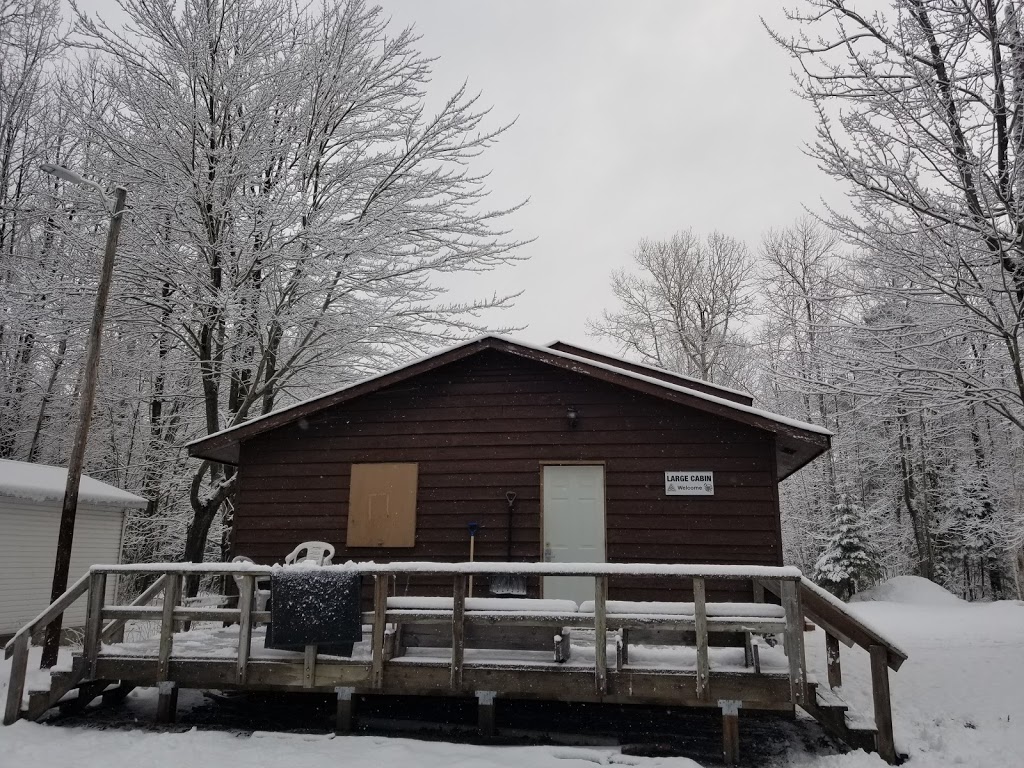 Camp Wildman | Concession Rd 8 W, Tiny, ON L0L 2J0, Canada | Phone: (416) 490-6364