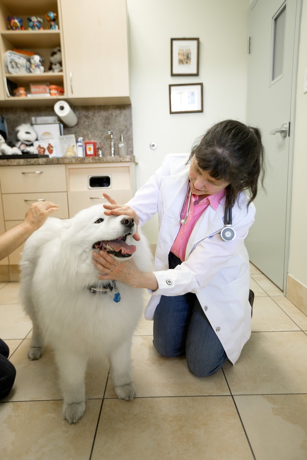 Summeridge Animal Clinic | 8707 Dufferin St, Thornhill, ON L4J 0A2, Canada | Phone: (905) 731-1225