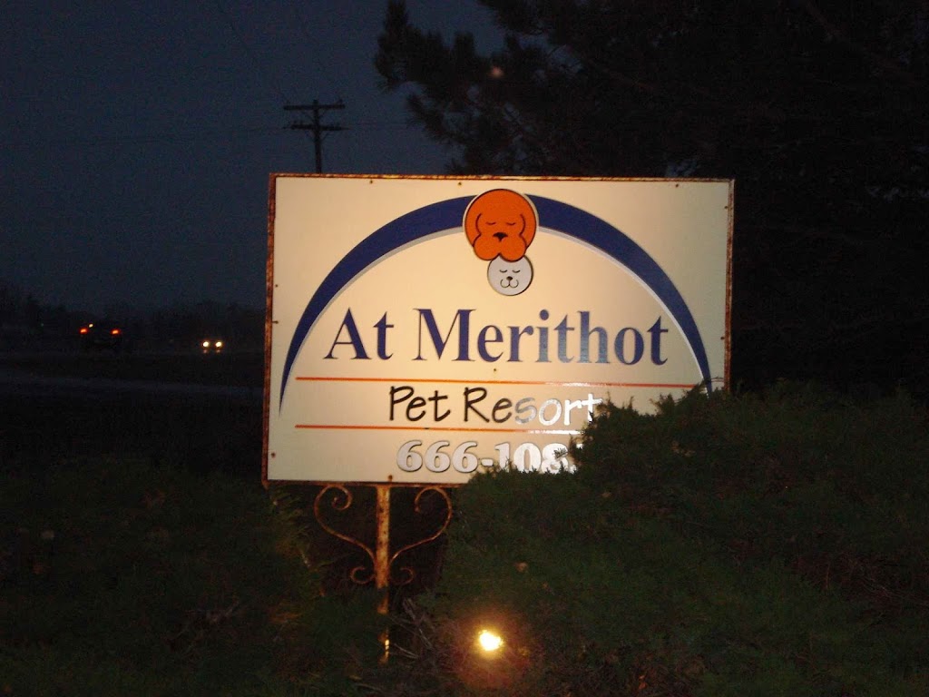 At Merithot Pet Resort | 6017 Egremont Dr, Komoka, ON N0L 1R0, Canada | Phone: (519) 666-1083