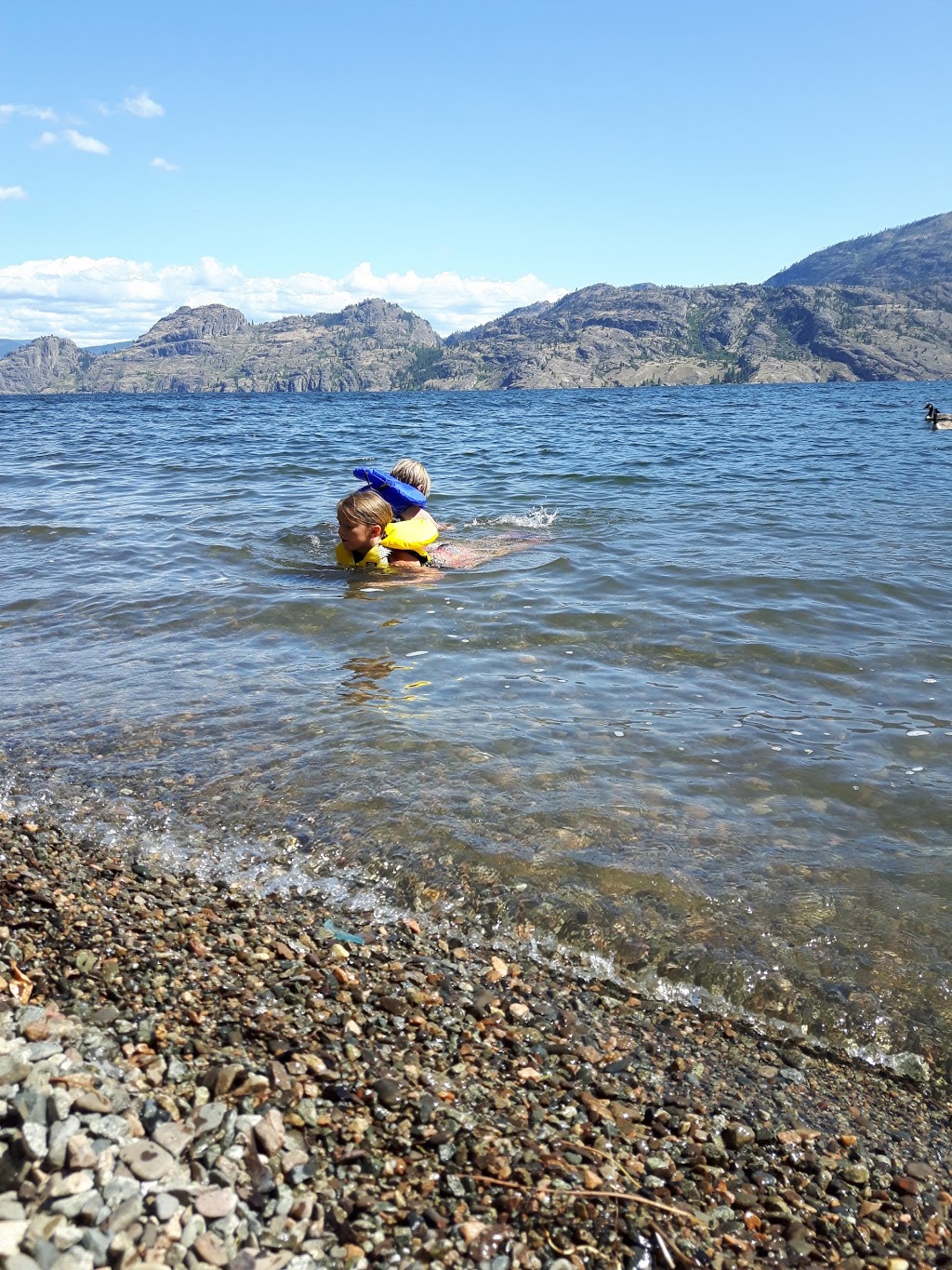 Okanagan Lake Provincial Park | BC-97, Summerland, BC V0H 1Z0, Canada | Phone: (250) 548-0076