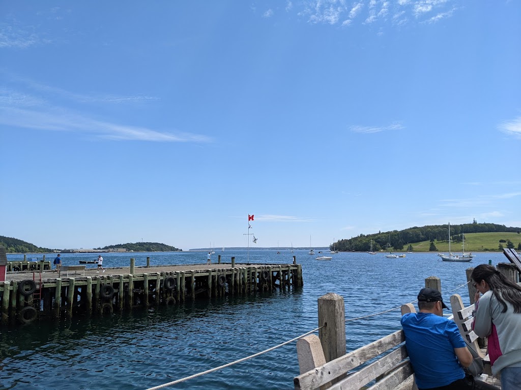 Lunenburg Whale Watching Tours | 62 Bluenose Dr, Lunenburg, NS B0J 2C0, Canada | Phone: (902) 527-7175