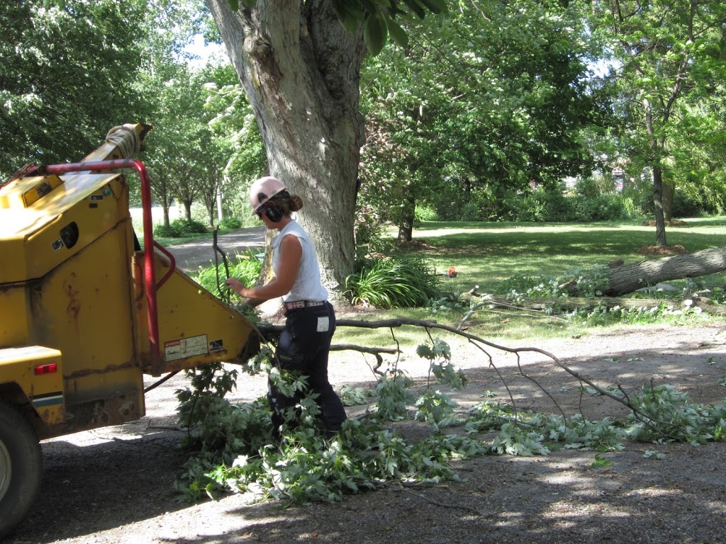 Joels Tree Service | 5009 Line 6, St. Marys, ON N4X 1C8, Canada | Phone: (519) 272-5742