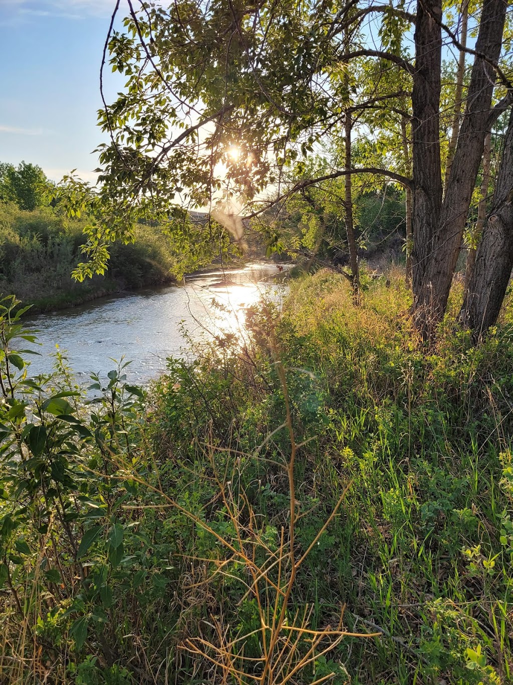 11 Bridges Campground and Cabins | 332 4 Ave S, Rosedale, AB T0J 2V0, Canada | Phone: (403) 823-2890