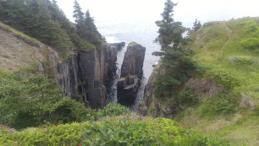 East Coast Trail | Bay Bulls, NL A1S 1R3, Canada