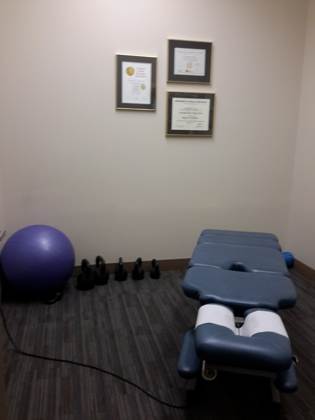 Dr. Christopher Notley at Gelley Chiropractic Office | 845 Dakota St, Winnipeg, MB R2M 5M3, Canada | Phone: (204) 254-0130