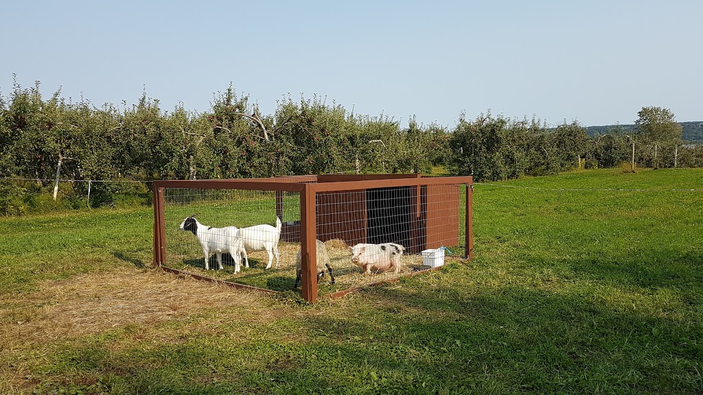 Ferme Arthur Cauchon Inc | 7862, av Royale, Château-Richer, QC G0A 1N0, Canada | Phone: (418) 824-4680