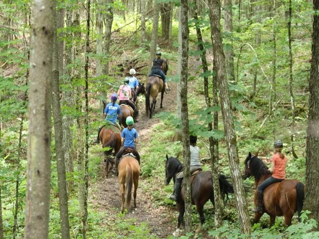 South Algonquin Trails | 4378 Elephant Lake Rd, Harcourt, ON K0L 1X0, Canada | Phone: (705) 448-1751