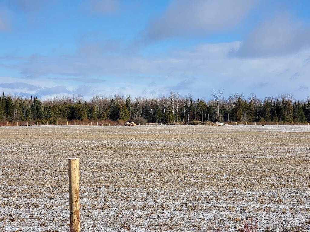 Ontario Ministry of the Environment and Climate Change | 125 Resources Rd, Etobicoke, ON M9P 3V6, Canada | Phone: (416) 235-5743