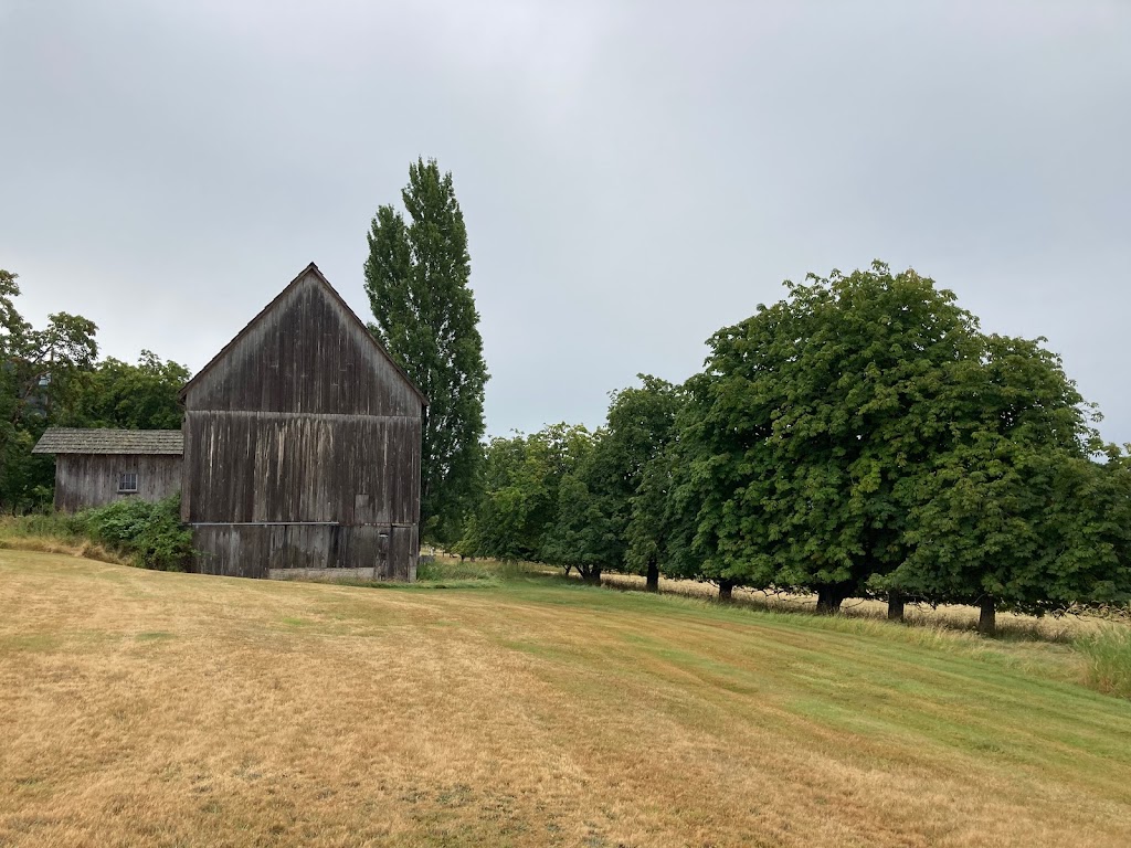 The Jeffrey Rubinoff Sculpture Park | 2750 Shingle Spit Rd, Hornby Island, BC V0R 1Z0, Canada | Phone: (778) 992-1400