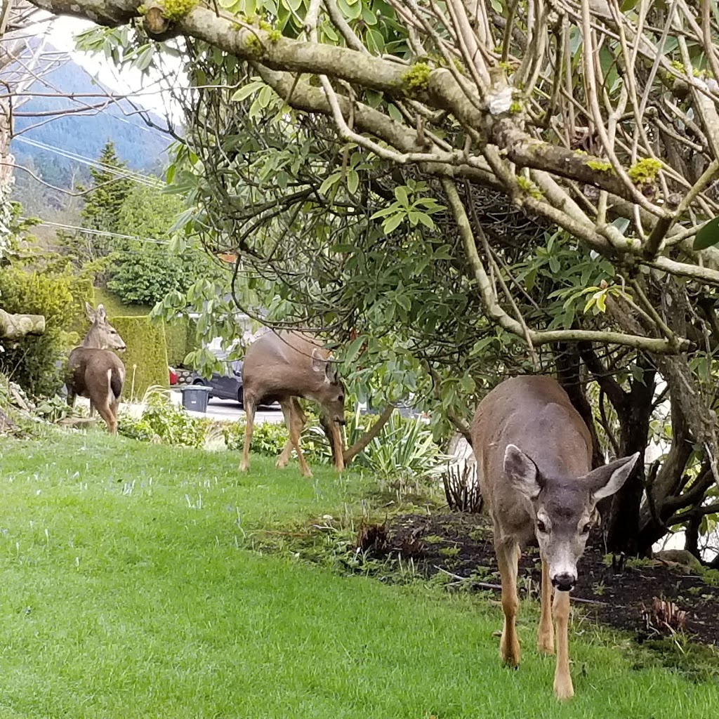 Lowry Waterfront Park | 614 Lowry Ln, North Vancouver, BC V7G 1R3, Canada