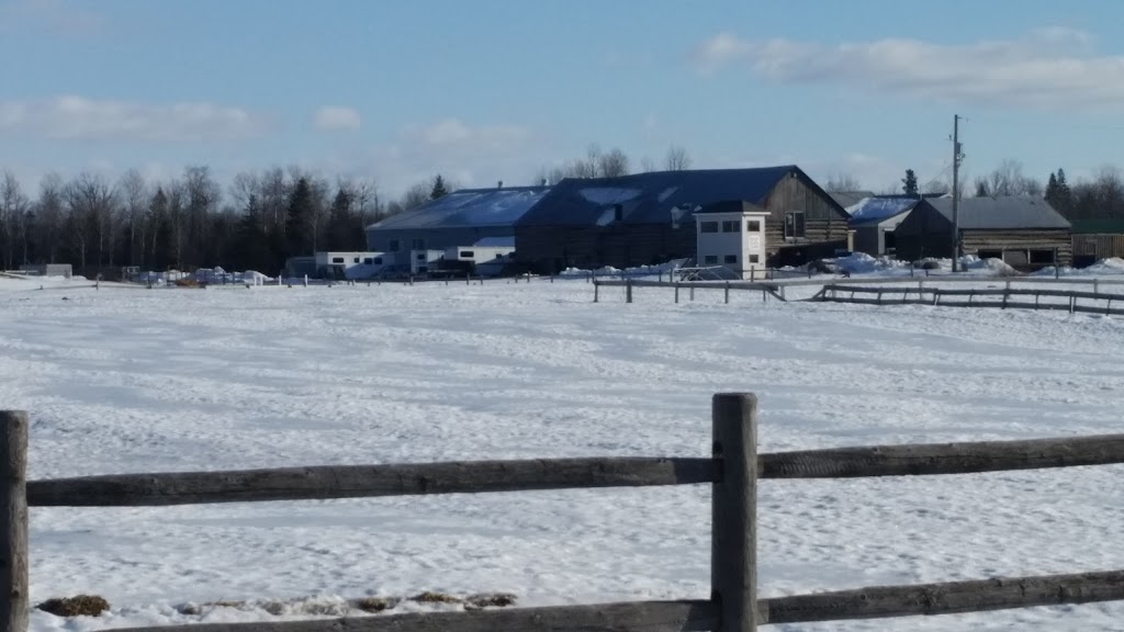 Ashland Farm | 2262 Derry Side Road,, Ashton, ON K0A 1B0, Canada | Phone: (613) 257-2184