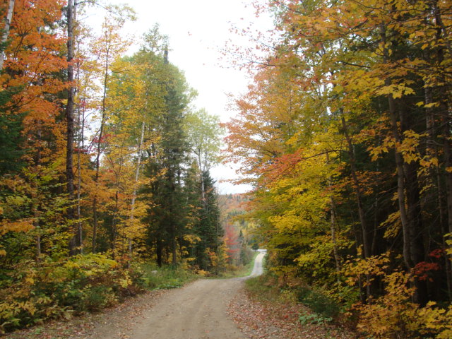 Cabane à sucre St-Mathieu-du-Parc | 1421 Chem. Principal, Saint-Mathieu-du-Parc, QC G0X 1N0, Canada | Phone: (819) 532-1553