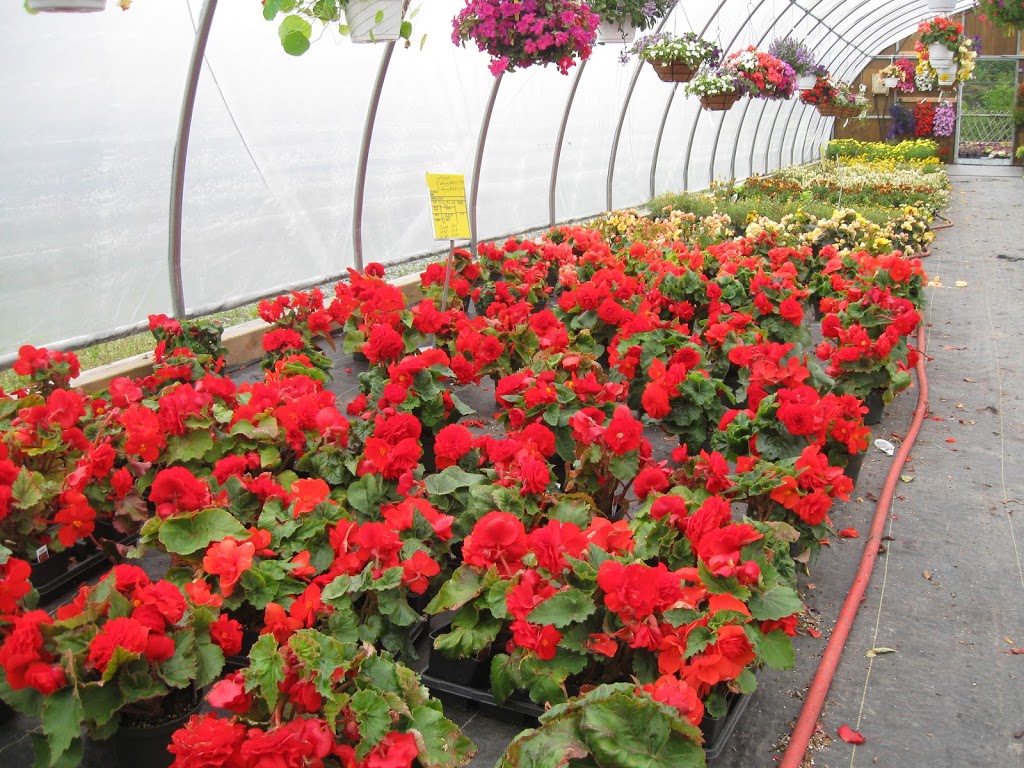 Murrays Garden Centre | 1501 Portugal Cove Rd, Portugal Cove-St. Philips, NL A1M 3P2, Canada | Phone: (709) 895-2800