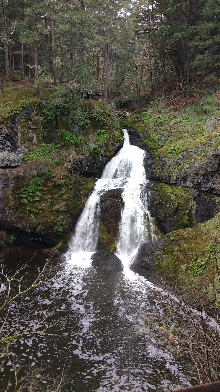 Wittys Lagoon Regional Park Nature House | 4115 Metchosin Rd, Victoria, BC V9C 3Z6, Canada | Phone: (250) 474-2454