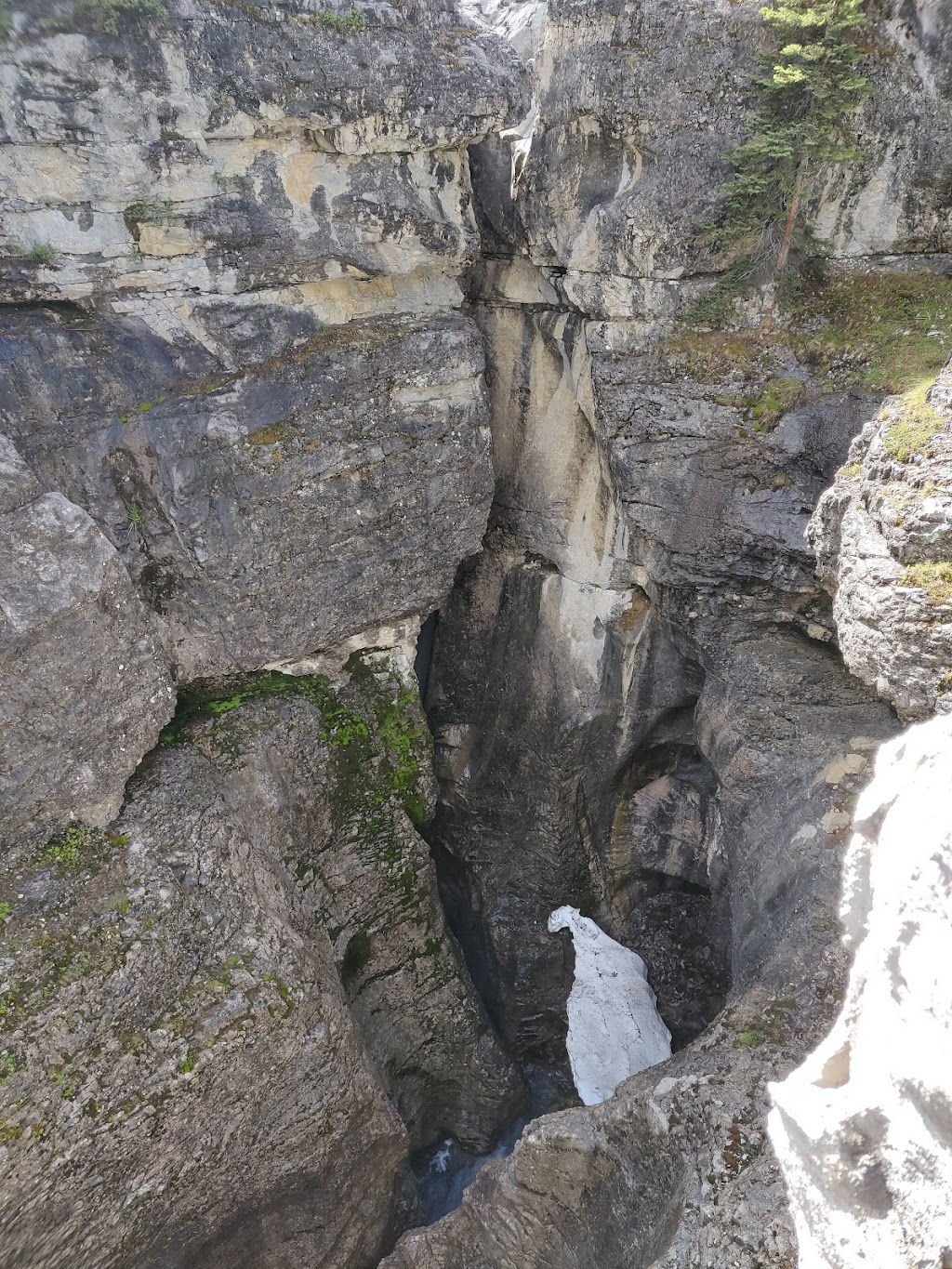 Turbine Canyon Backcountry Campground | Kananaskis, AB T0L 2C0, Canada | Phone: (403) 678-3136