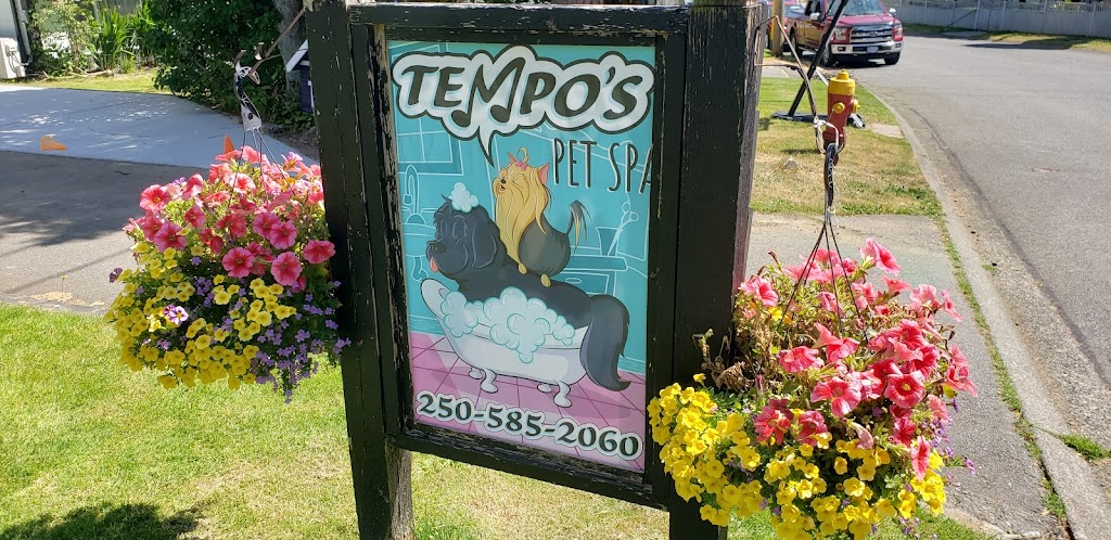 Tempos Pet Spa | 2312 Briarwood Pl, Nanaimo, BC V9T 4J4, Canada | Phone: (250) 585-2060