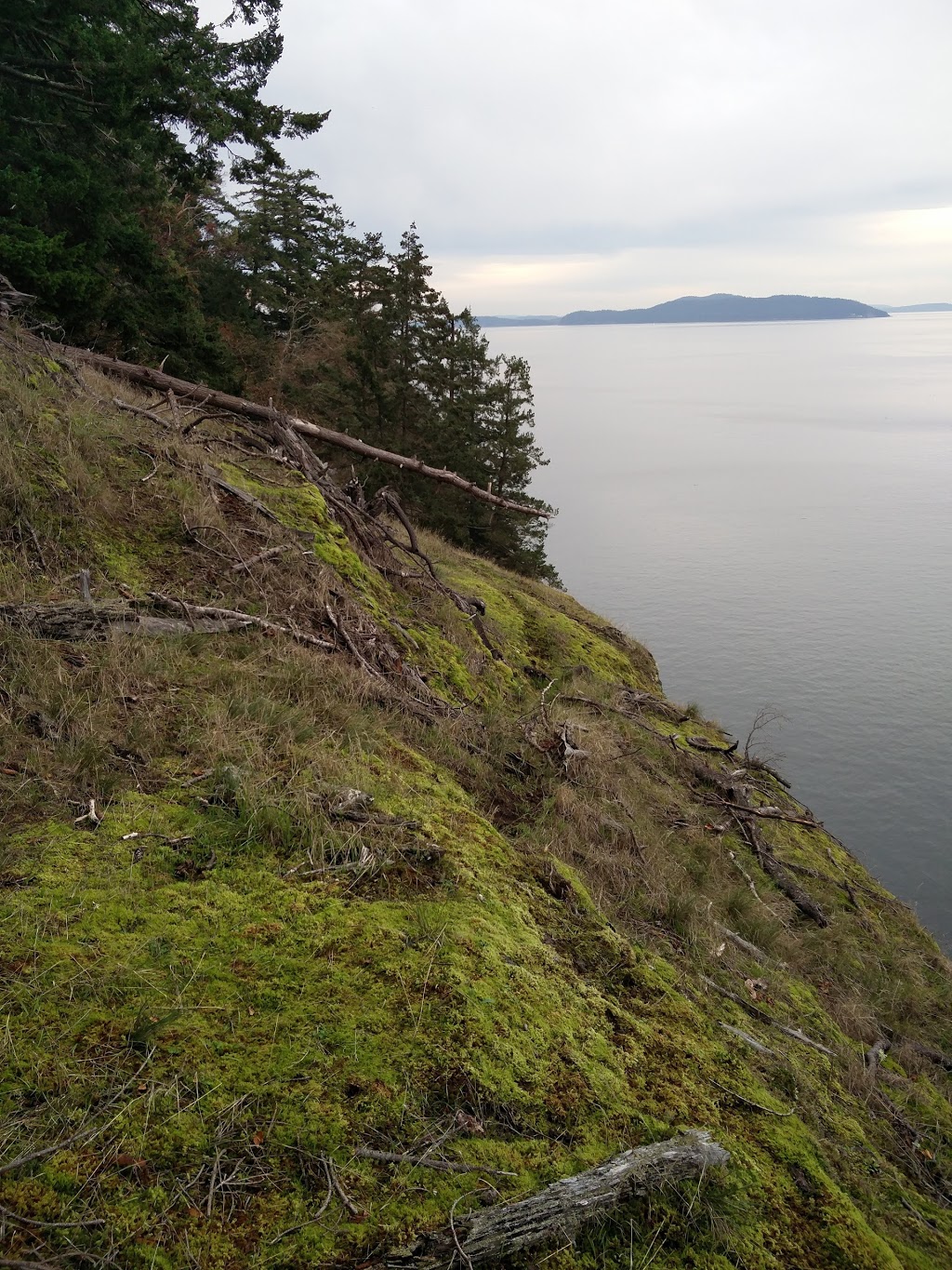 Whale Pod Chalet at Oaks Buff | North Pender Island, Southern Gulf Islands, BC V0N 2M2, Canada | Phone: (866) 228-4397