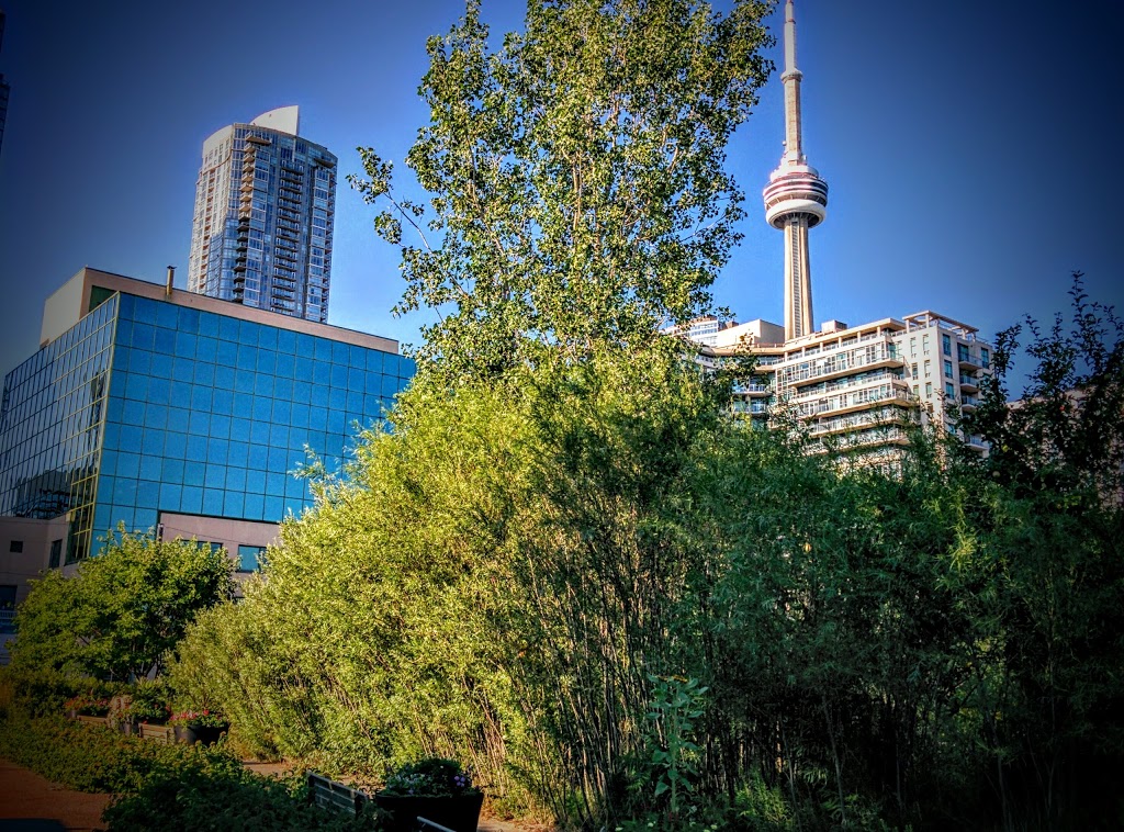 Spadina Quay Wetlands | 441 Queens Quay W, Toronto, ON M5V 2Y3, Canada | Phone: (416) 338-4386