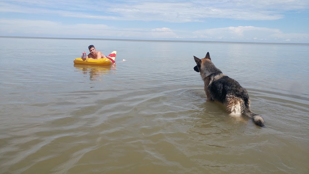 Winnipeg Beach Dog Beach | Winnipeg Beach, MB, Canada