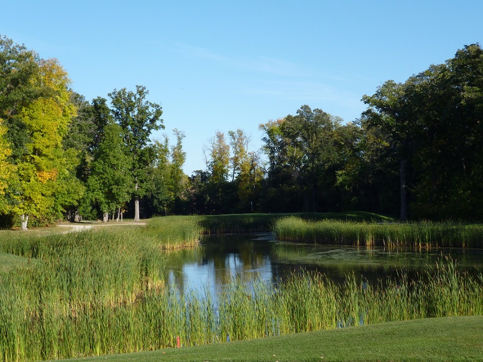 Bridges Golf Course | 10 River Rd, Starbuck, MB R0G 2P0, Canada | Phone: (204) 735-3000