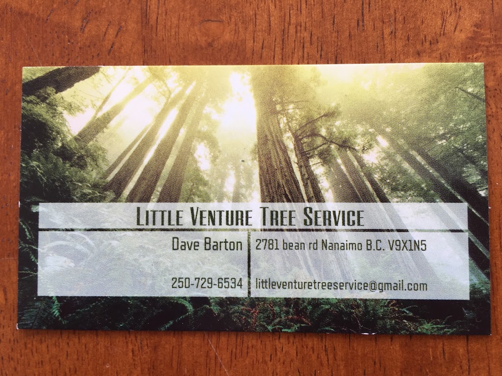 Little Venture Tree Service | 2781 Bean Rd, Nanaimo, BC V9X 1N5, Canada | Phone: (250) 729-6534