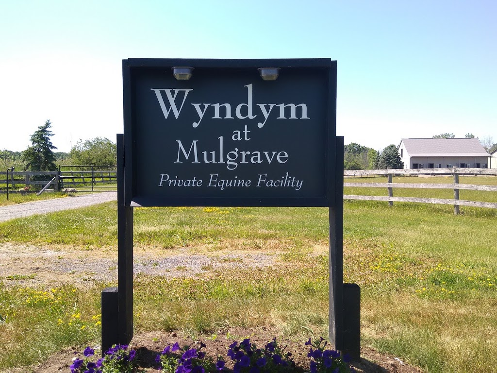 Wyndym Equine (at Mulgrave) | 4515 Garrison Rd, Ridgeway, ON L0S 1N0, Canada | Phone: (905) 347-0251