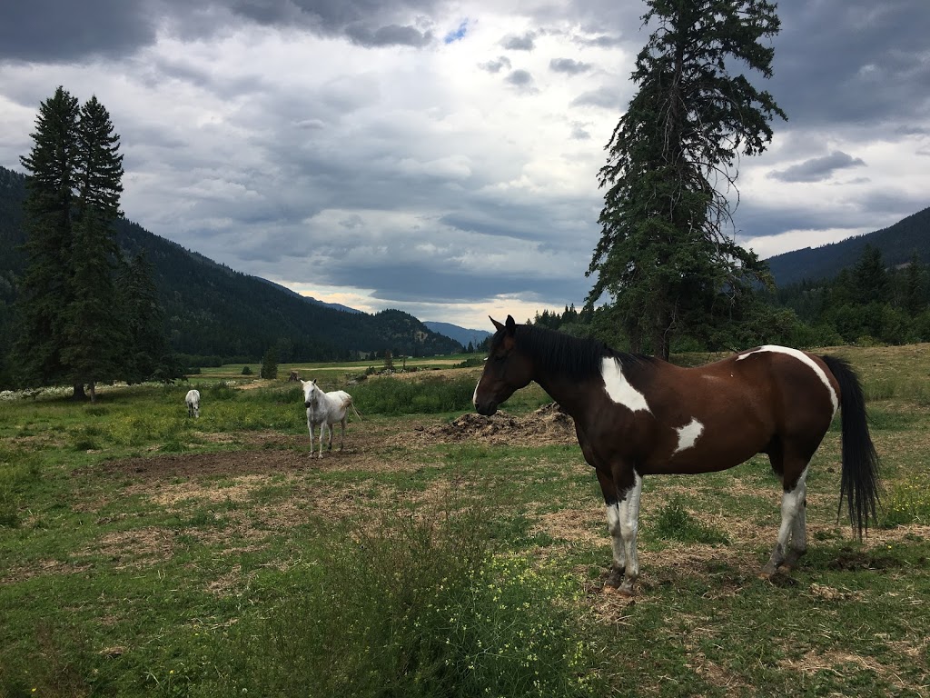 Tod Mountain Cabins | 3968 Heffley Louis Creek Rd, Heffley Creek, BC V0E 1Z1, Canada | Phone: (250) 578-0226