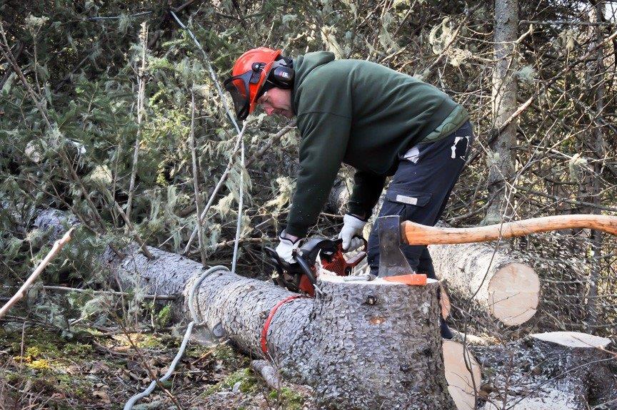 Nightingale Tree Service | 16 Nightingale Ln, Quispamsis, NB E2E 3T1, Canada | Phone: (506) 647-1055