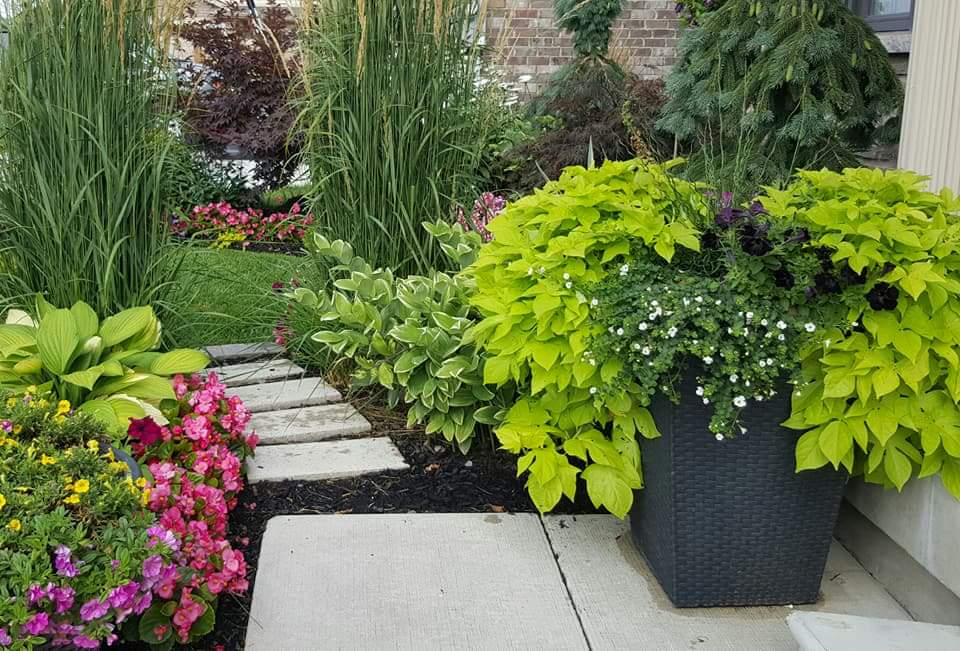 Silver Leaf Nursery and Garden Centre/ Landscaping | 5145 Kalar Rd, Niagara Falls, ON L2H 1T1, Canada | Phone: (289) 214-1967