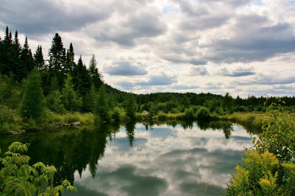 Centre d’activités nature Kanatha-Aki Traîneau à Chiens Équitati | 11 Chemin du Lac de lOrignal, Val-des-Lacs, QC J0T 2P0, Canada | Phone: (819) 321-1890