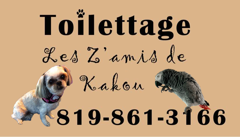 Toilettage les Zamis de Kakou | 951 Rue Saint-Michel, Orford, QC J1X 7H4, Canada | Phone: (819) 861-3166