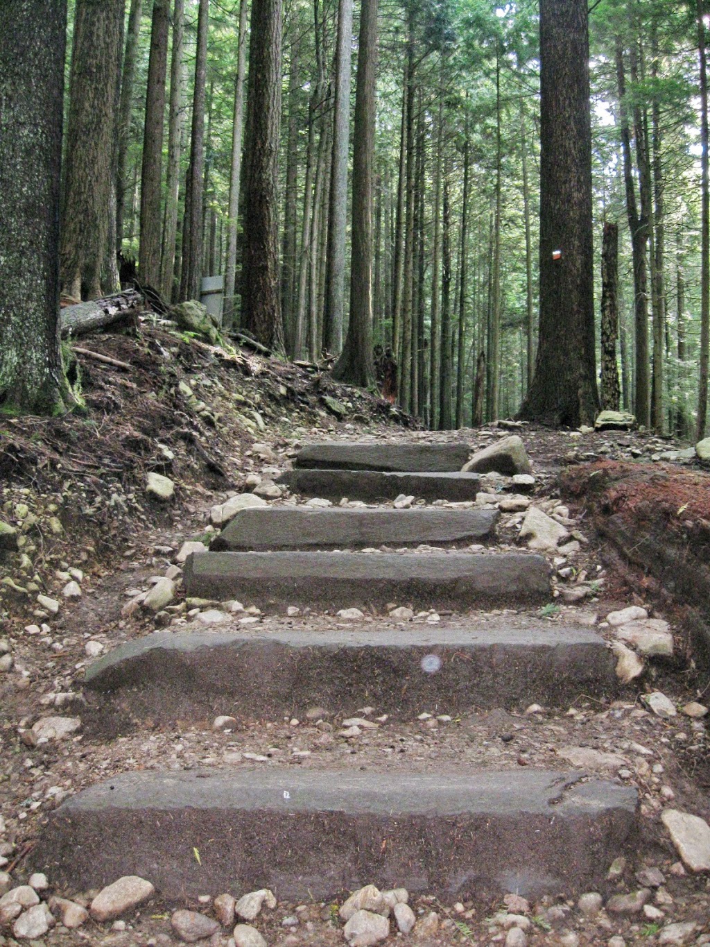 Grouse Grind Trail | 6400 Nancy Greene Way, North Vancouver, BC V7R 4K9, Canada | Phone: (604) 224-5739