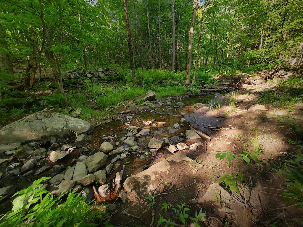 Le Salon des Inconnus - Maison Favier | 826 Côte à Favier, Namur, QC J0V 1N0, Canada | Phone: (514) 418-3450