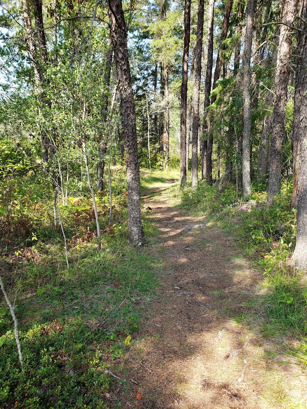 Alfred Hole Goose Sanctuary & Visitor Centre | Provincial Trunk Hwy 44, Rennie, MB R0E 1R0, Canada | Phone: (204) 369-3157