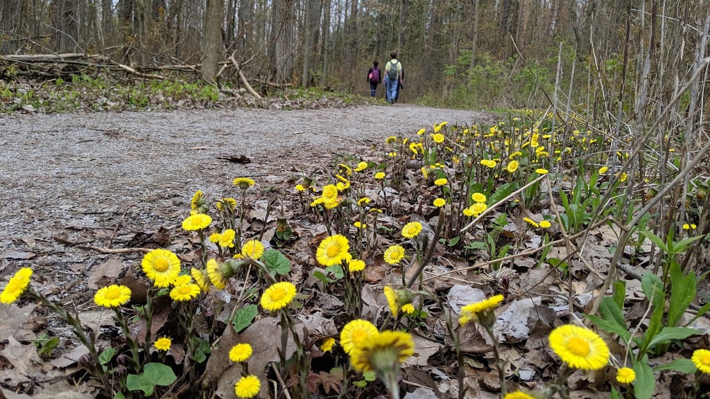 Oak Ridges Corridor, Conservation Reserve | Unnamed Road, Richmond Hill, ON L4E 5A2, Canada