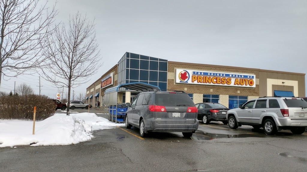 Princess Auto | 18195 Leslie St, East Gwillimbury, ON L9N 0M2, Canada | Phone: (905) 952-2107