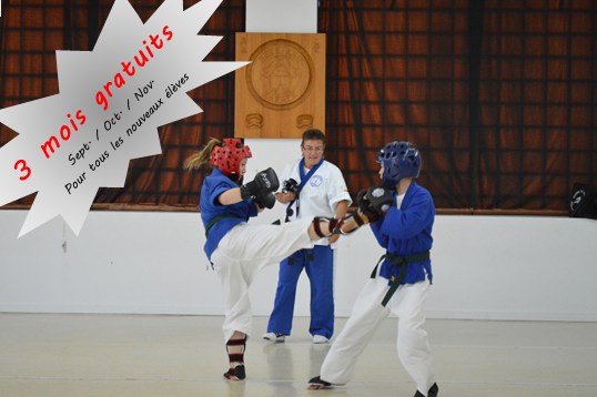 Center Karate Yoseikan Sud-Ouest | 80 Rue Académie, Salaberry-de-Valleyfield, QC J6T 4X1, Canada | Phone: (450) 371-6658