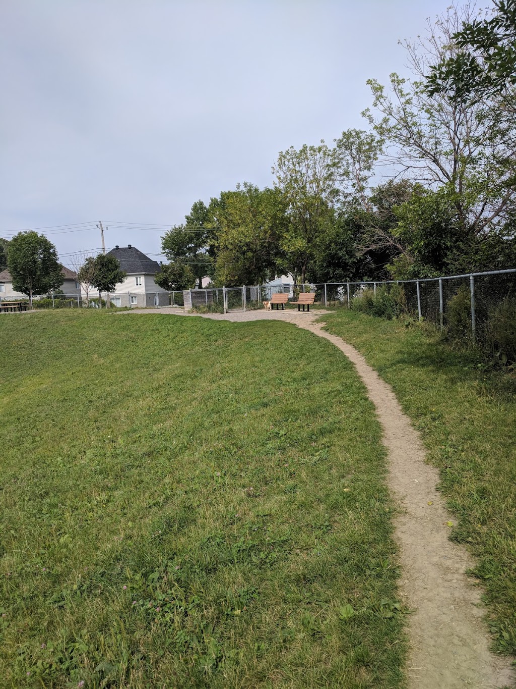 dog park Falco (Laval-des-Rapides) | 5V2, 6e Rue, Laval, QC H7N 5V2, Canada