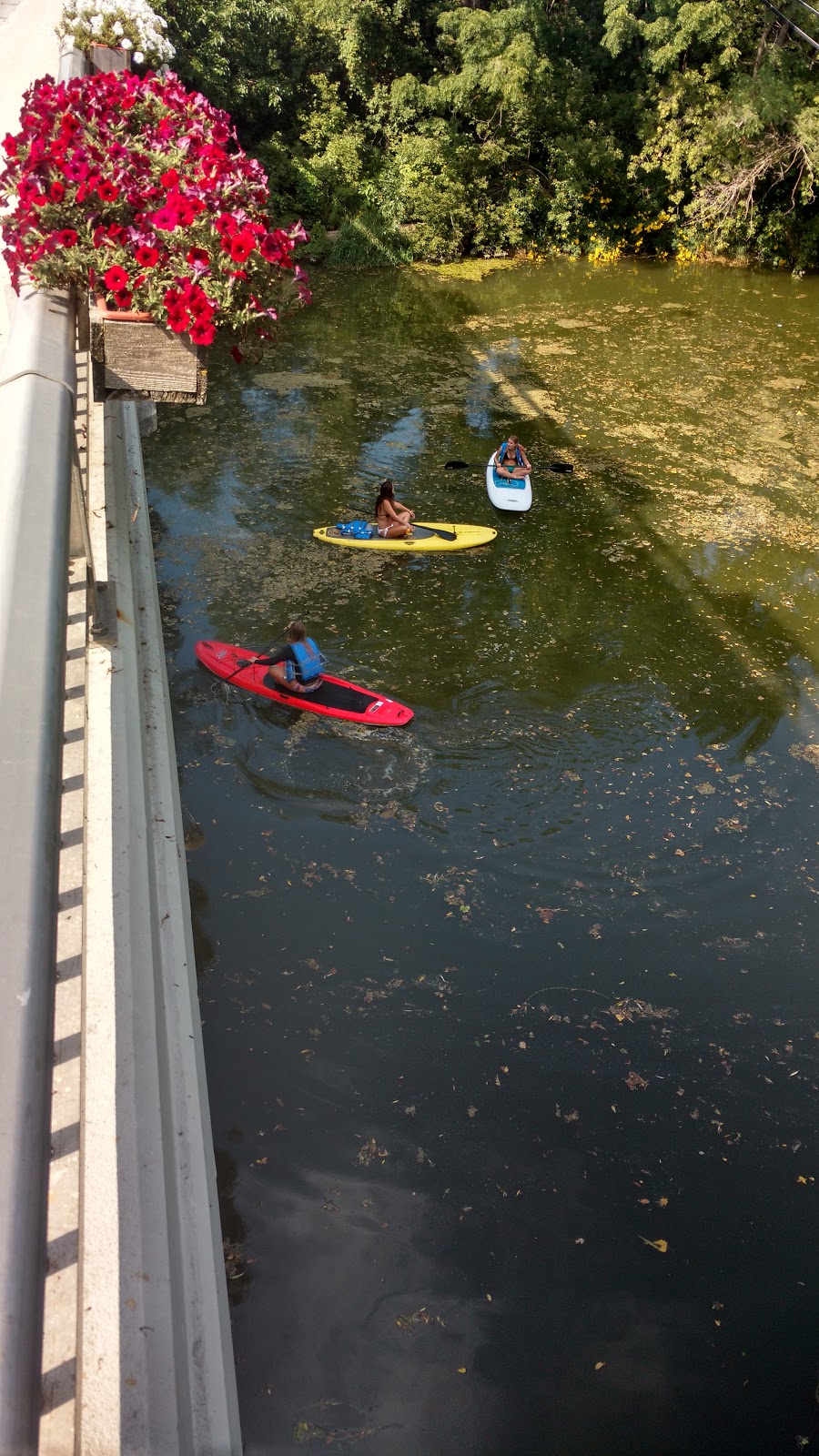 Crappie Rentals - Canoes, Kayaks, SUPs, Pedalboats | 102 Metcalfe Ave, Dresden, ON N0P 1M0, Canada | Phone: (519) 683-4363