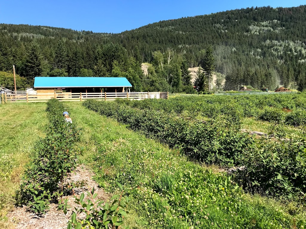 Honeyberry Farm Market | Lake Bay Rd, Heffley Creek, BC V0E 1Z1, Canada | Phone: (250) 578-0781