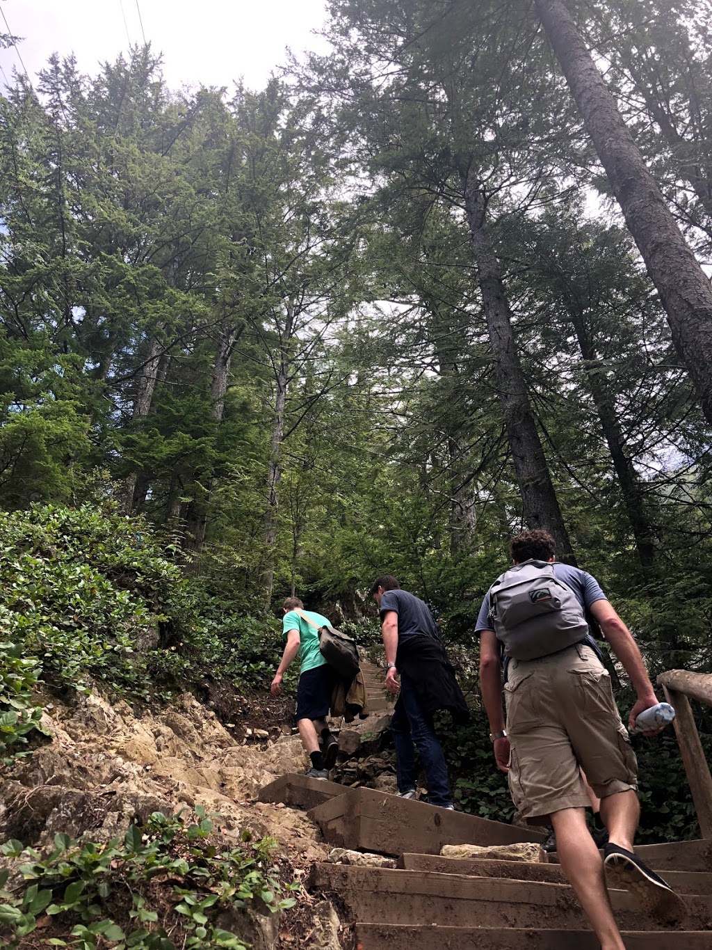 Flint & Feather Trail | North Vancouver, BC V7R 4K9, Canada