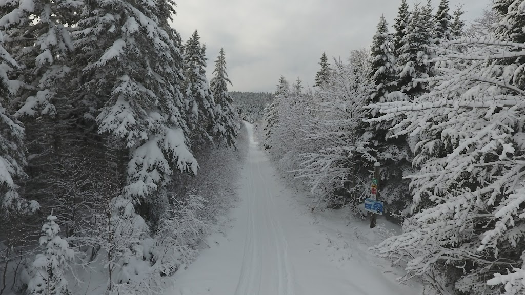 Southeastern NB Snowmobile | 1319 Caledonia Mountain Rd, Caledonia Mountain, NB E4H 1A9, Canada | Phone: (506) 734-3455